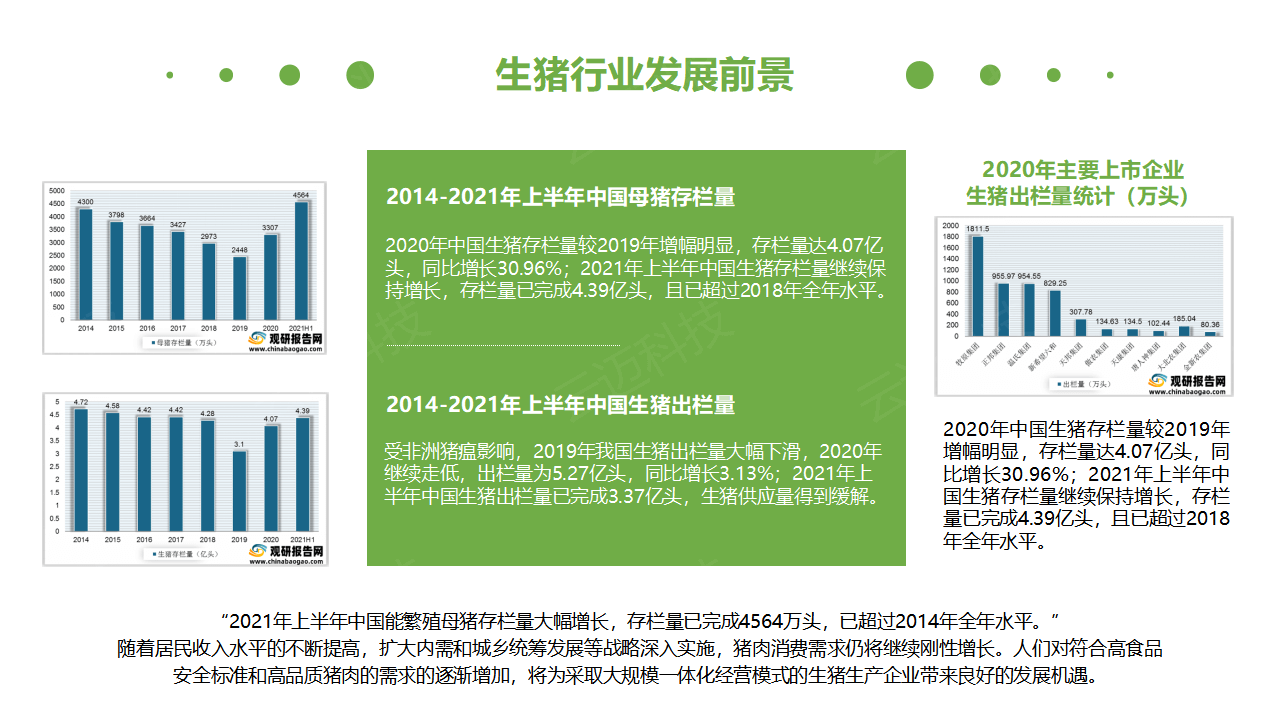 生豬競(jìng)價(jià)解決方案_04.png